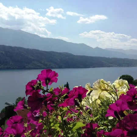 Guest house Oasis 3*