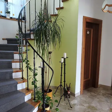 Oasis Guest house